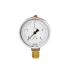 Pressure Gauge Wika Model 113.53 (Đồng hồ áp suất) - Ảnh 1