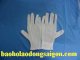 Găng tay thun dùng trong ngành điên tử A. Bảo 17N6-25