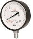 Đồng hồ đo áp suất Wise P111  - Ảnh 1