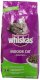 Whiskas Indoor Dry Cat Food, 6-Pound - Ảnh 1
