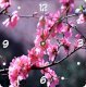 Rikki KnightTM Pink Flowers Design 6" Art Desk Clock - Ảnh 1