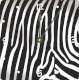Rikki KnightTM Zebra Stripes Design Design 6" Art Desk Clock - Ảnh 1