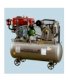 Máy nén khí chạy bằng dầu Diesel Pegasus TM-W-1.0/8-500L (10 HP) - Ảnh 1