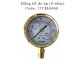 Đồng hồ đo áp (0-10bar) Azud 17CMG010