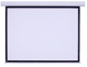 Màn chiếu treo tường DALITE 136 inch (2.44 x 2.44m) - Ảnh 1