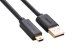 Cáp USB 2.0 to USB Mini 1.5m mạ vàng Ugreen 10385 - Ảnh 1