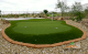 Cỏ golf làm Green CG4 - Ảnh 1