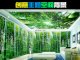 Tranh gạch 5D Hưng Đại Phát - rừng trúc xanh - Ảnh 1