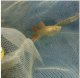 Lưới làm lồng nuôi cá Tân Gia Bảo 060 - Ảnh 1