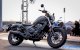 Xe máy phân khối lớn Honda Rebel 500 - Ảnh 1