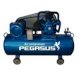 Máy nén khí dây đai Pegasus TM-W-0.67/8-330L MEV - Ảnh 1