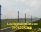 Hàng rào lưới thép sơn tĩnh điện D5 a50x200 Hưng Thịnh - Ảnh 1