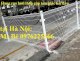 hàng rào lưới thép sơn tĩnh điện HT036 - Ảnh 1