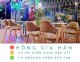 Bàn ghế cafe, trà sữa bằng gỗ Hồng Gia Hân B44 - Ảnh 1