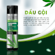 Dầu gội Cannabis Hair - Ảnh 1