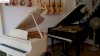 Grandpiano Chuyên Cung Cấp Tất Cả Các Loại Đàn Piano Nhật Giá Rẻ