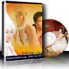 Dvd Psd Ành Cưới - Wedding Templates & Frames Collection