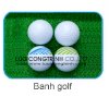 Cung Cấp Các Loại Banh Golf Cho Sân Tập, Sân Golf Có In Logo Theo Yêu Cầu