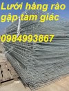 Lưới Thép Hàng Rào D5 A 50X200 Sản Phẩm Mạ Kẽm Nhúng Nóng Gập Tam Giác 2 Đầu