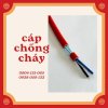 Cáp Chống Cháy Chống Nhiễu, Cáp Chống Cháy Chịu Nhiệt (Al+E+Gft)