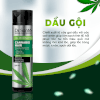 Dầu Gội Cannabis Hair