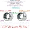 (Ê Cu Chống Trôi M30,M27,M24,M22,M20 Đai Ốc Chống Đề, Ê Cu Keo) C.ty Bu Lông Ốc Vít Thanh Sơn - Hà Nội Có Ốc Chống Tháo, Đai Ốc Khóa Inox 201, 304, Ê Cu Chống Nới, Bu Lông Đầu Tròn Cổ Vuông M12,M10,M8,M6, Long Đen Xước M8