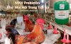 Mnv Probiotics - Vi Sinh Khử Mùi Trang Trại Chăn Nuôi Gia Cầm