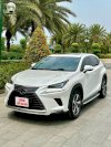 Lexus Nx300 - 2020 - 39.000 Km