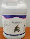 Bổ Gan Thảo Dược Ấn Độ Herbaliv Forte - Tăng Sức Đề Kháng - Hạn Chế Bệnh
