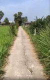 Bán Đất Tại Xã Phú Đông Huyện Tân Phú Đông Tỉnh Tiền Giang