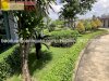 Dịch Vụ Vệ Sinh Sân Vườn, Bảo Dưỡng Cây Xanh Nhà Máy Đồng Nai