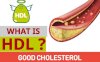 Chỉ Số Cholesterol Hdl Trong Máu Có Ý Nghĩa Như Thế Nào?