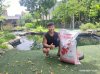 Cám Aqua Koi Bao 25Kg Bơm Size Cực Đỉnh Dành Cho Ao Bùn