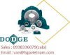 Đại Lý Dodge Việt Nam 2