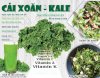 Bột Cải Xoăn Kale Nguyên Chất Sấy Lạnh - Siêu Thực Phẩm Cho Sức Khỏe Mỗi Ngày