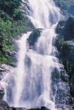 Hà Nội - Sapa - Silver Waterfall - Ma Tra - Ta Phin Village - Hà Nội