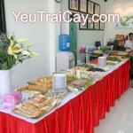 Tổ Chức Tea Break Tận Nơi