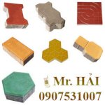 Gạch Việt Nam Uy Tín Chất Lượng Hàng Đầu ! Cung Cấp Các Loại Gạch Block, Gạch Trồng Cỏ, Gạch Con Sâu, Gạch Terrazzo, Gạch Chữ I,... Đại Lý Gạch Vn