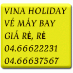 Giá Vé Máy Bay Vietnam Airlines, Jetstar, Air Asia, Air Mekong, Tiger Giá Rẻ 2011