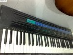Hcm  Bán Organ, Yamaha , Casio Roland Và Piano Điện Rẻ Nhất