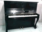 Bán Đàn Piano , Piano Điện , Organ Yamaha,Casio Giá Rẻ