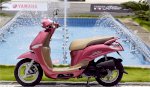 Nozza Yamaha New Khung Bảo Vệ Xe Tay Ga Giá Chỉ Từ 300,000