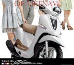Nozza Yamaha New Khung Bảo Vệ Xe Tay Ga, Giá Chỉ Từ 300,000