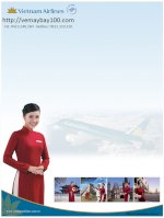 Làm Đại Lý Bán Vé Máy Bay Vietnam Airlines, Cấp Code Tự Xuất Vé, Không Cần Qua Đại Lý Cấp 1, Làm Đại Lý Của Vietnam Airlines