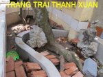 Trang Trại Thanh Xuân