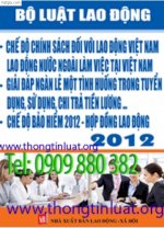 Luật Lao Động Anh-Hoa-Việt 2012, Luật Lao Động Song Ngữ 2012