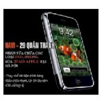 Thay Màn Hình Iphone, 4S, 4, 3Gs, 3G, 2G | Sửa Iphone Tại Hà Nội (231)