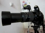 Tp Vinh Susucamera Bán Máy Ảnh Canon D70S Giá Rẽ