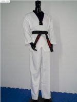 Võ Phục Taekwondo