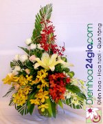 Hoa Chúc Mừng | Hoa Tươi | Hoa Tuoi | Vietnam Flower Delivery | Send Flowers Online Vietnam